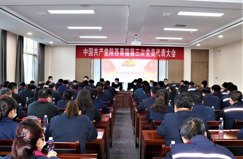 高質量打造民營企業(yè)黨建工作新標桿