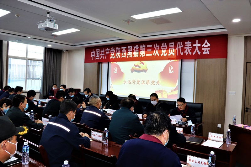 高質量打造民營企業(yè)黨建工作新標桿