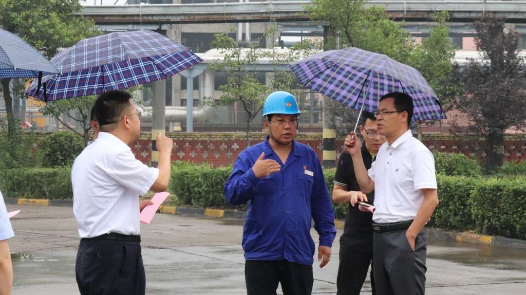 王興華一行調(diào)研陜西黑貓穩(wěn)增長(zhǎng)